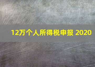 12万个人所得税申报 2020